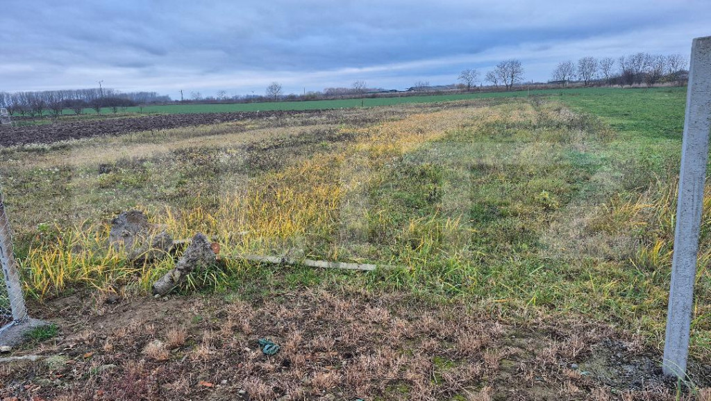Teren intravilan de vanzare, 1500 mp, in Odoreu