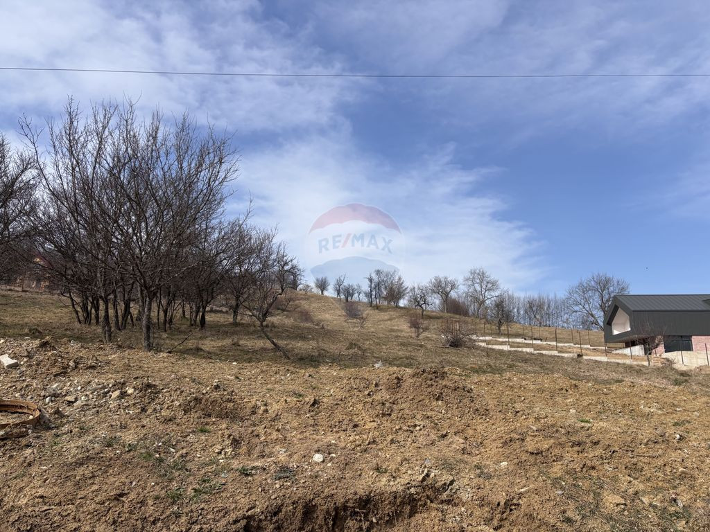 Teren 1,697mp Cisnadioara / Strada Silvicultorilor