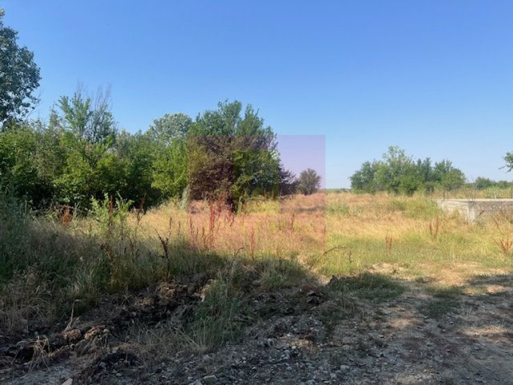 Teren Clinceni- Ordoreanu- langa Dig.