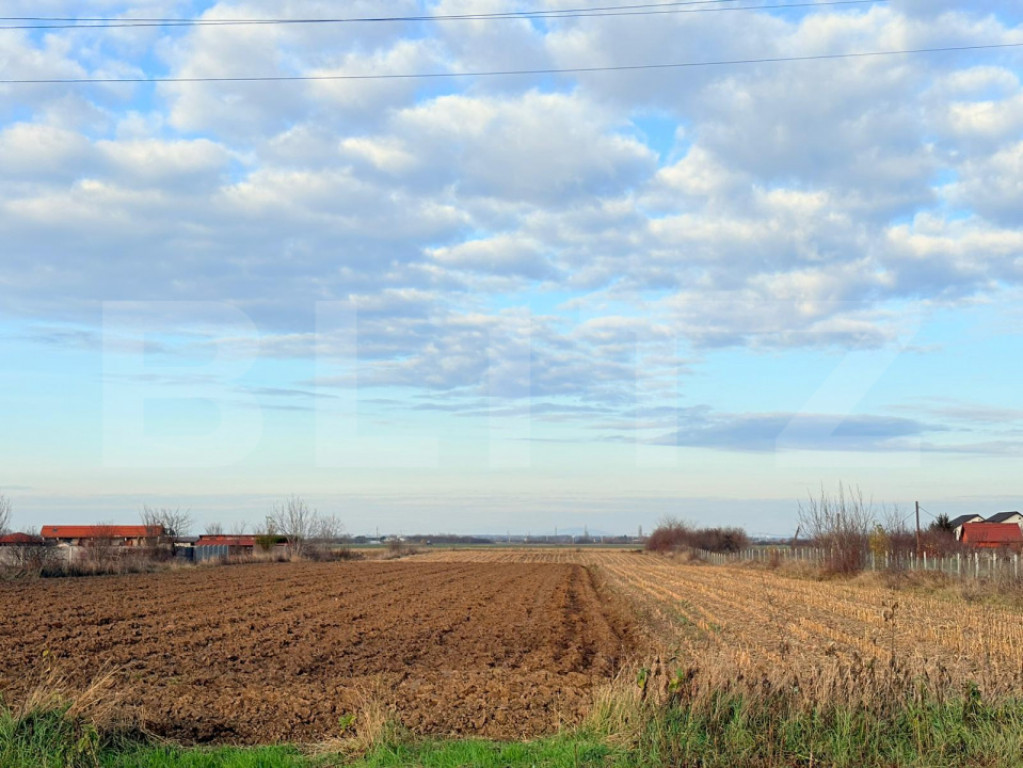 Teren de vanzare, 52 de ari, zona Odoreului