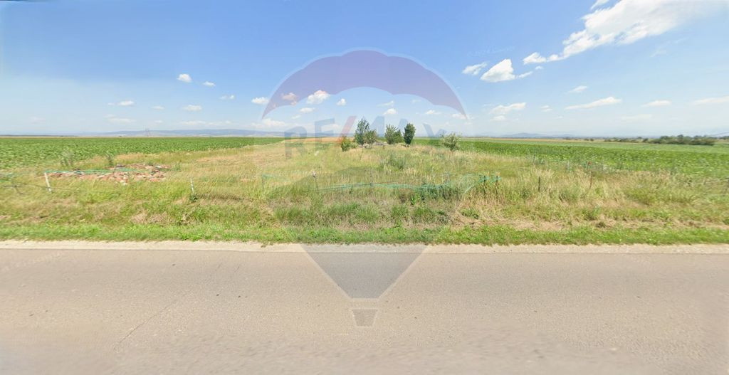Teren extravilan 2 parcele de 9.750 mp - Satul Nou, comun...