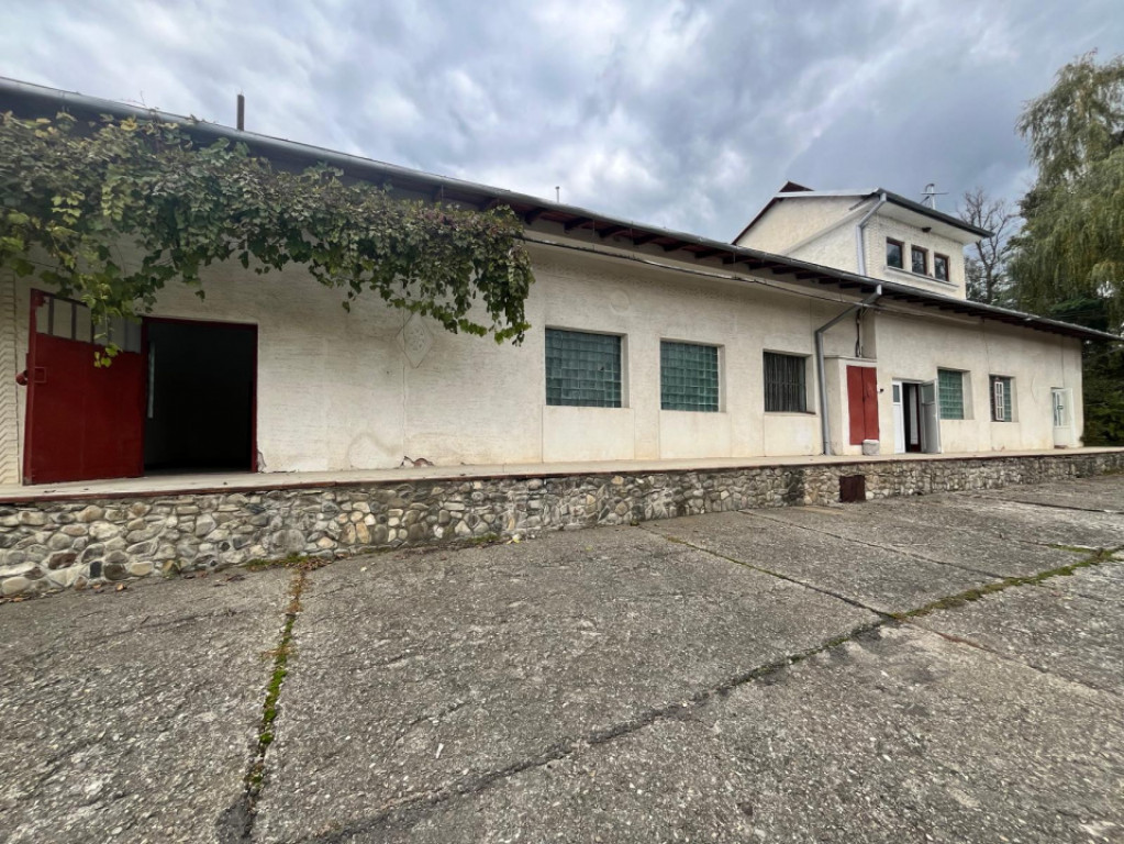 Spatiu comercial multifunctional, 1592 mp, Cacica (Pirtestii