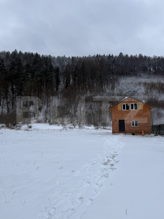 Cabană la munte în inima pădurii la 15 km de Brașov, zon