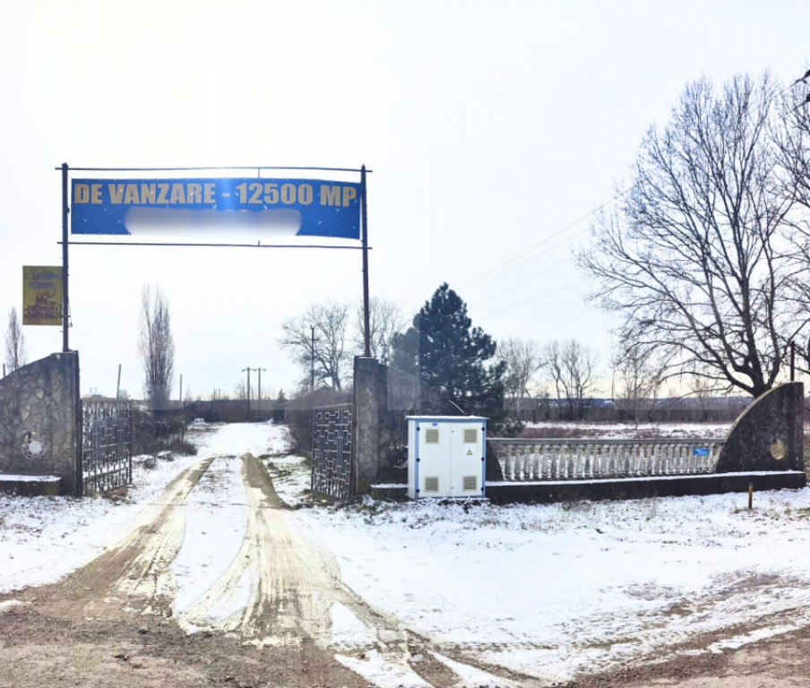 Domeniu privat, 12.500 mp teren, satul Viișoara - Târgovi?
