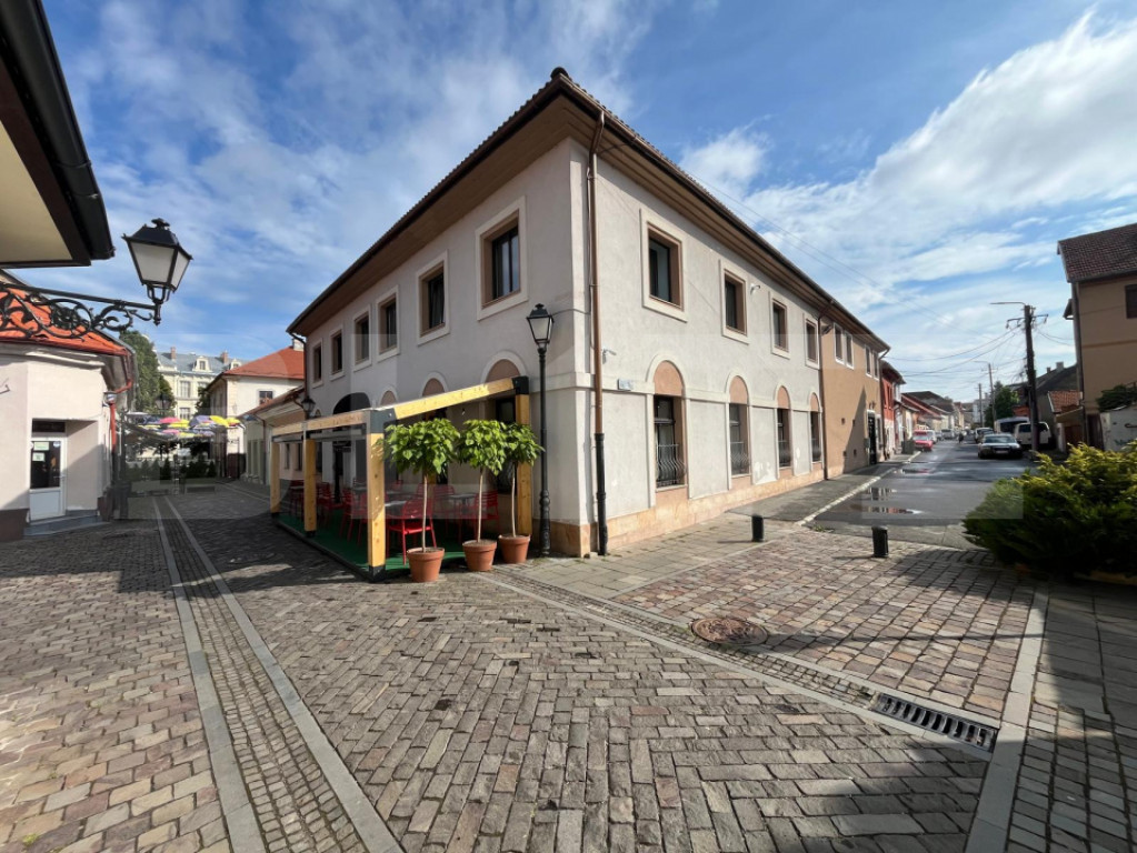 Investiție Premium: Bistro, Casă și Birouri în Centrul I