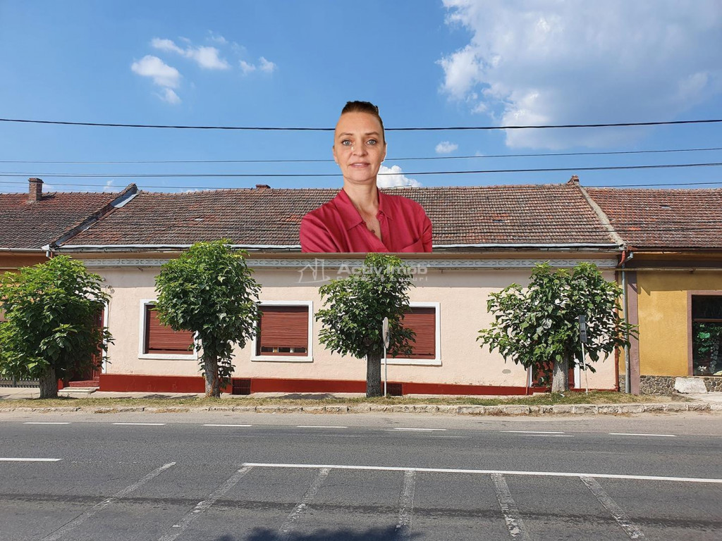 CASA SOLIDA CU TEREN SI CURTE, BOCSA VASIOVA. COMISION ZERO