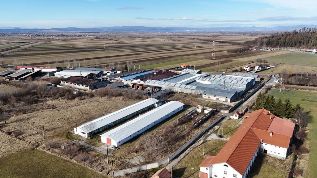 Teren intravilan 1.729 mp + hală parțial demolată | Te...
