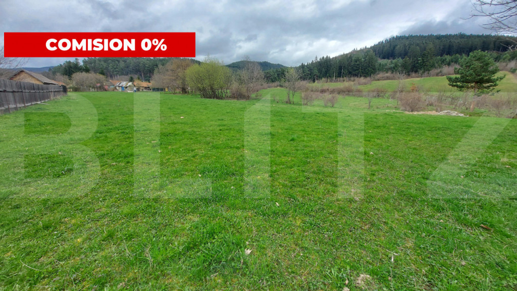 Teren intravilan 4.655 mp în Covasna – zonă liniștită,