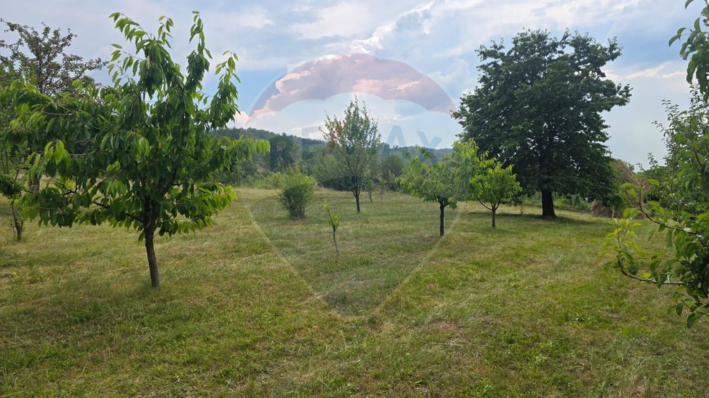 Teren intravilan, de vânzare în Damiș- Bratca pe Strad...
