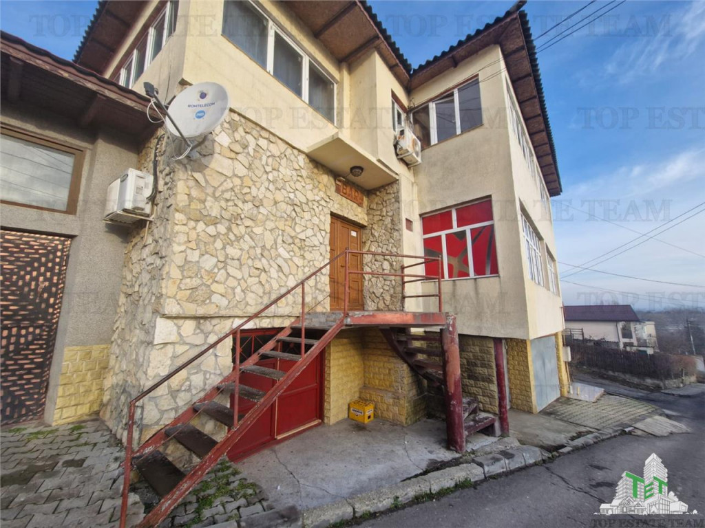 Vila unica de cu destinatie de locuinta si spatii comercial