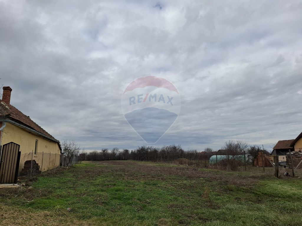 Teren intravilan 1,241mp Frumușeni, Arad