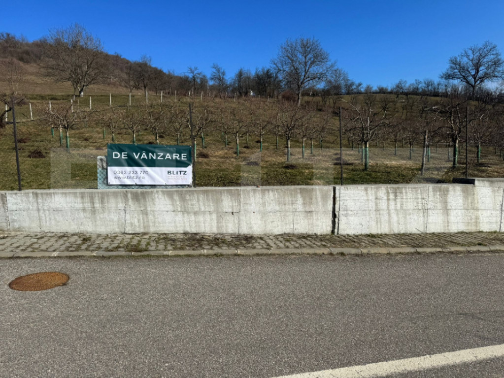 Teren de vanzare, Zona linistita, ideal construire