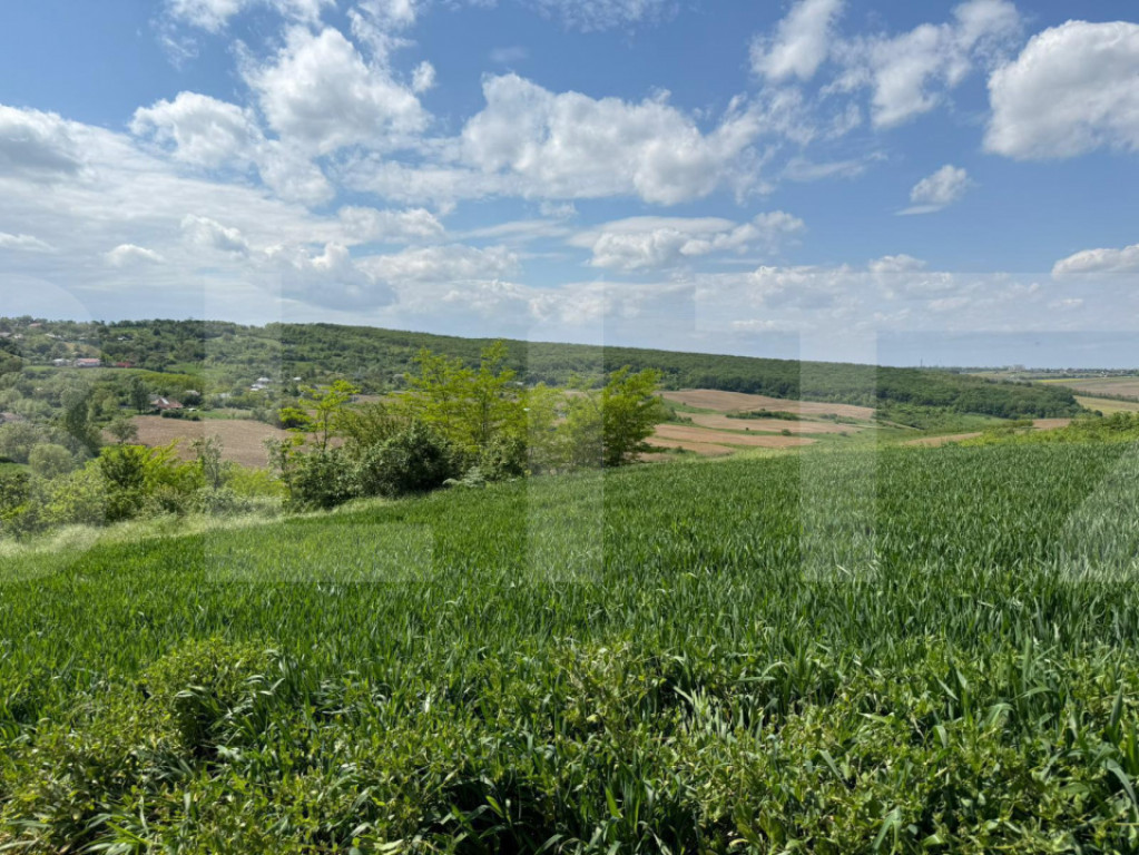 Teren extravilan 6.800 mp – Zăicești – Oportunitate in