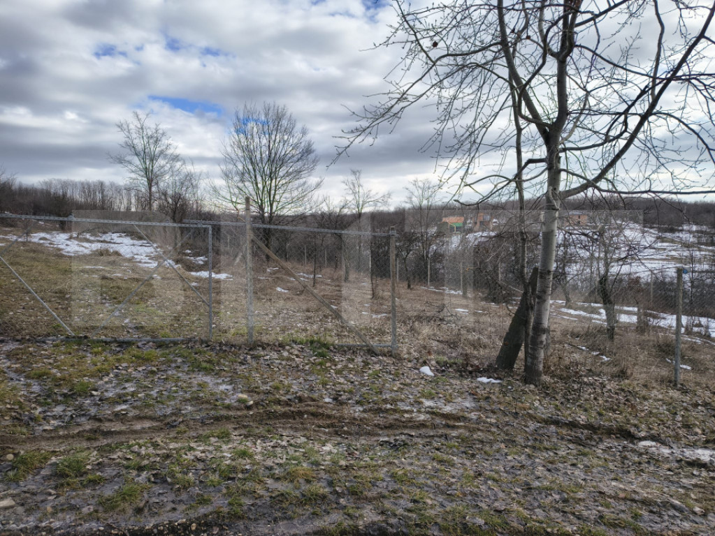 TEREN, 10000 mp, Paulesti (Gegeni)