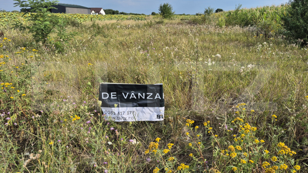 Teren intravilan de vanzare, 3600 mp, in Odoreu
