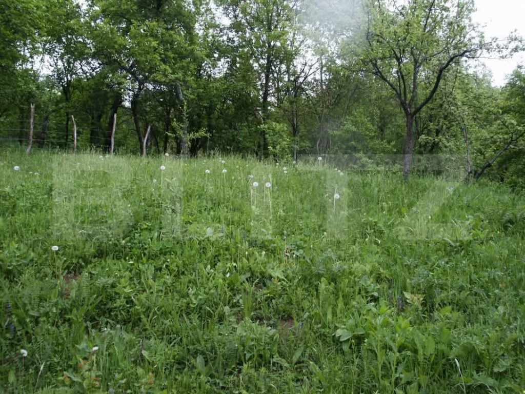 Teren intravilan 2.600 mp cu dublu acces – zonă Centura