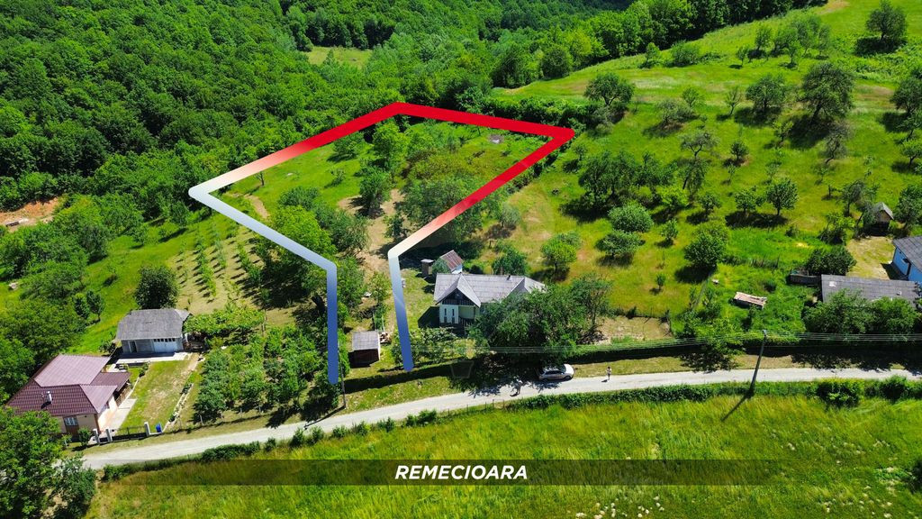 Teren intravilan generos 3.206 mp în Remecioara | Privel...