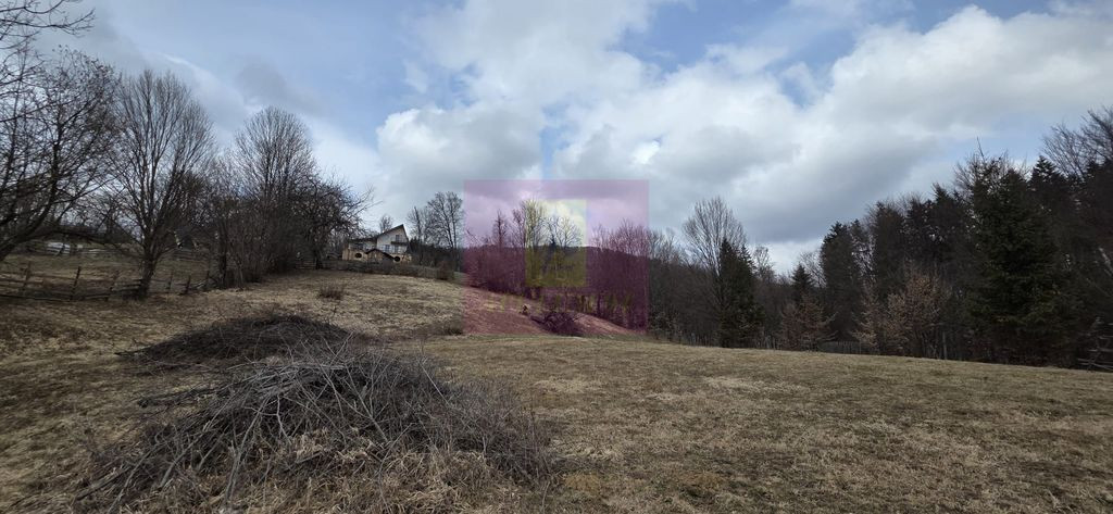 Teren intravilan 2200 mp de vanzare in Valea Doftanei