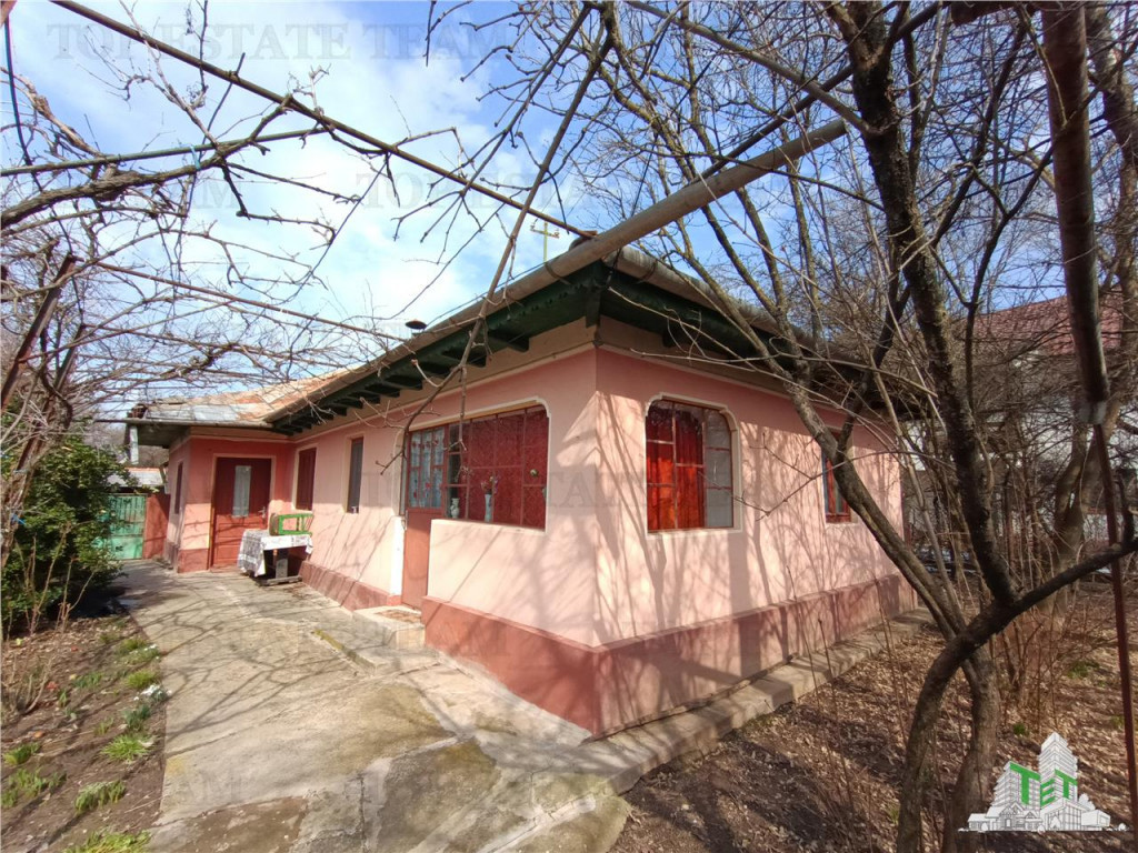 Casa taraneasca traditionala pe parter cu gradina si livada