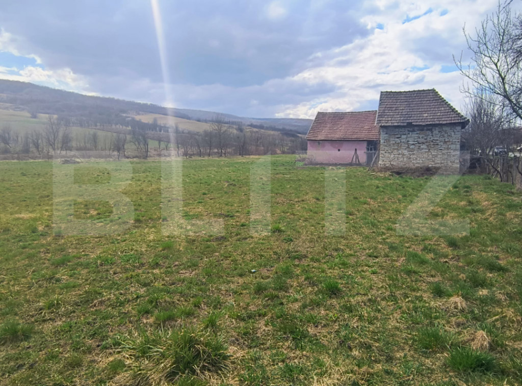 Teren intravilan 5000 mp, investiție într-o zonă în dezv