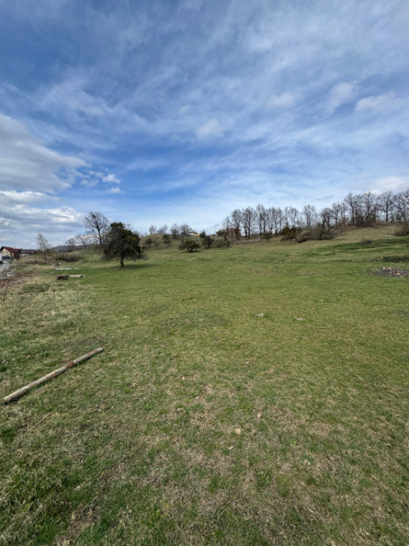Teren 1.17 ha Baia Sprie, intravilan, PUZ aprobat, dublu acc