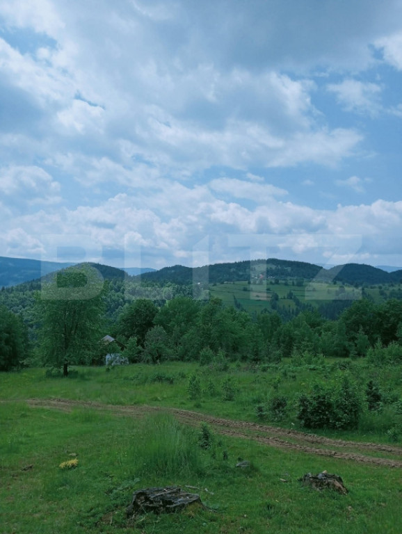 Teren intravilan de vânzare, 12000mp, Trâncești, Scăriș