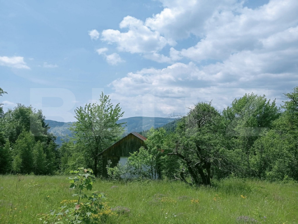 Teren intravilan de vânzare, 30.121 mp, Trâncești, Scări