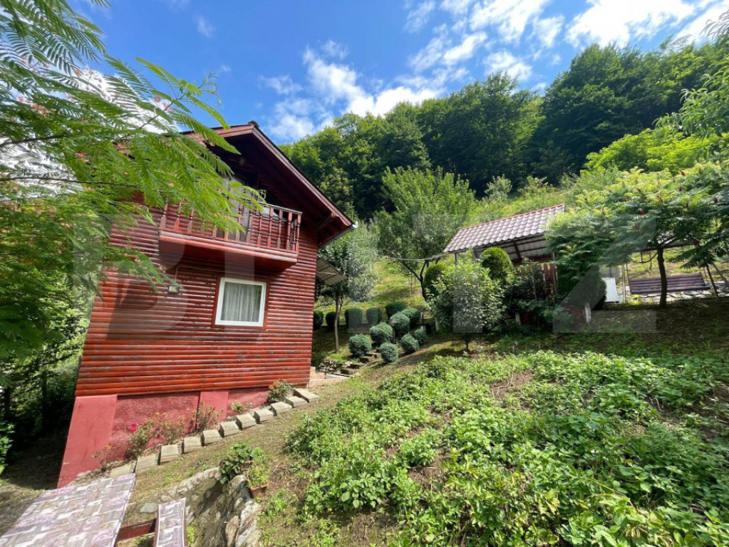 Casa de vacanta cu 4 camere, 1470 mp teren, Sugag