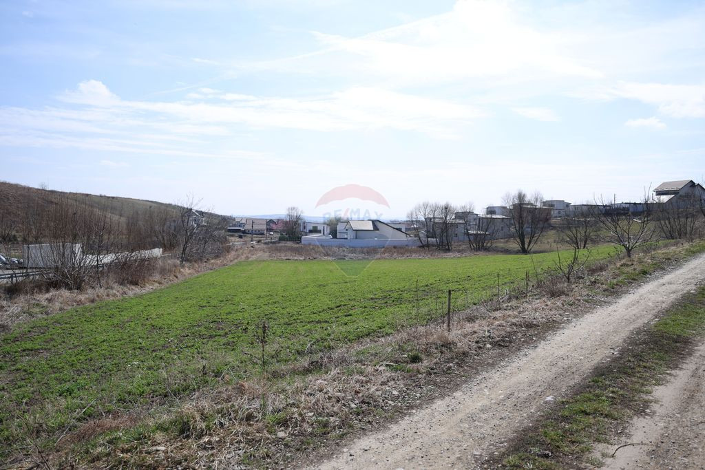 Teren 3,500mp Moara / Strada Pprincipala