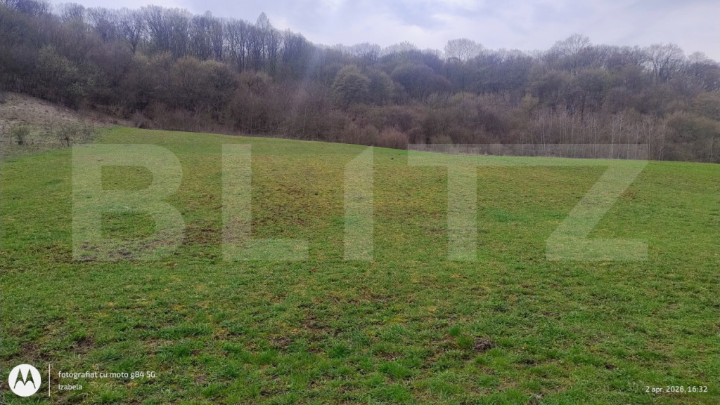 Teren superb 2.500 mp în Nicula – liniște, natură și p