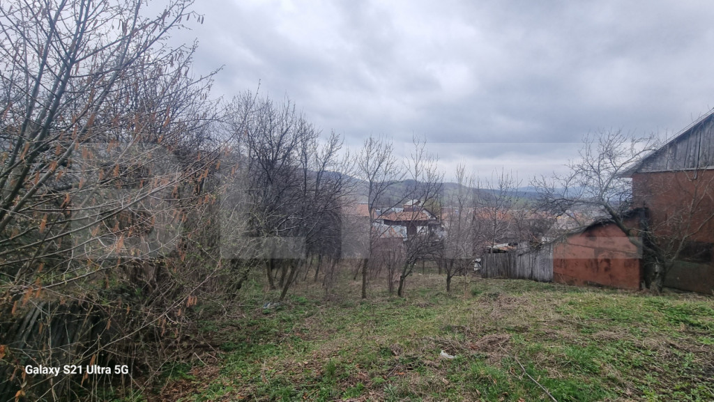 TEREN INTRAVILAN 100MP SCHIULESTI