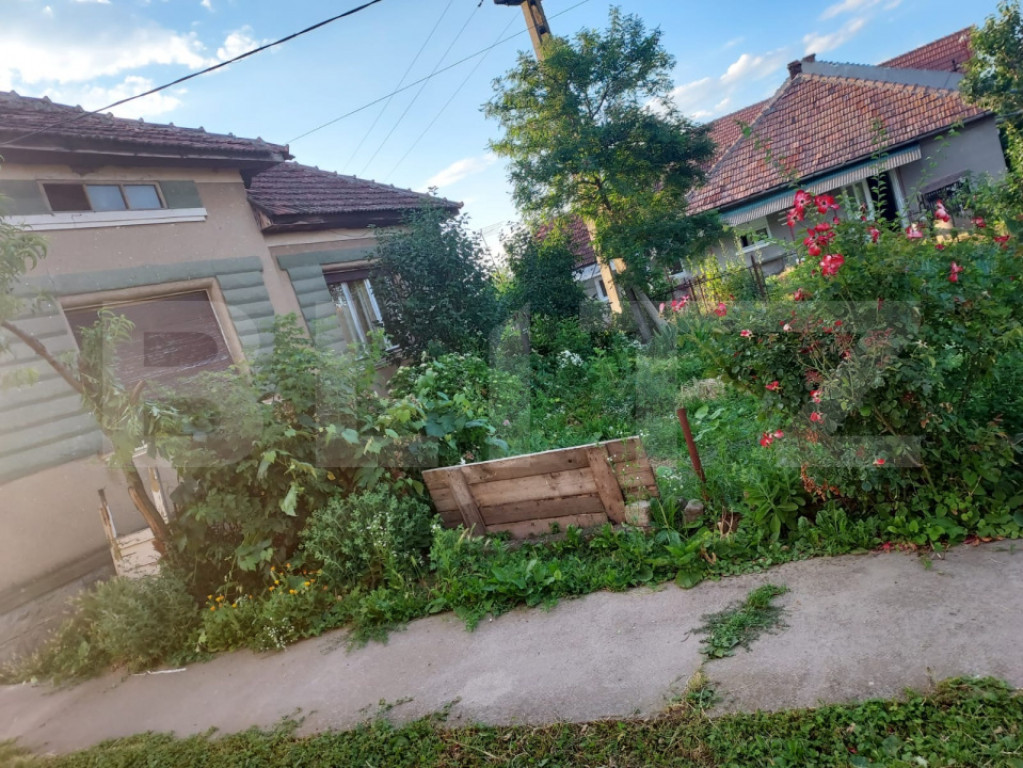 Casă cu teren 28,67 ari Botiz