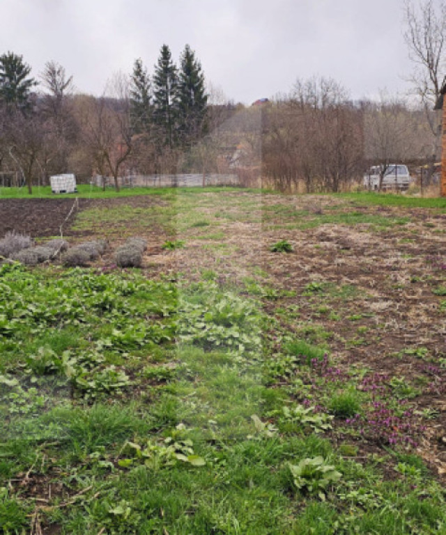 Teren intravilan/Gradina in Sancraiu (Sfantu Gheorghe)