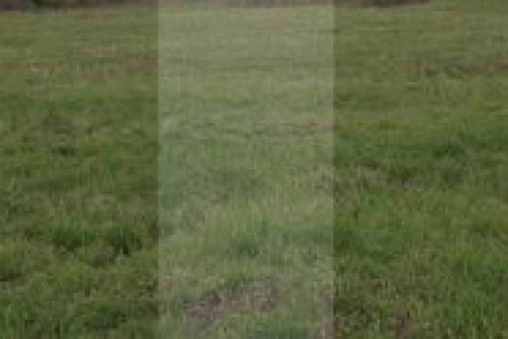 Teren intravilan, 685 mp, zona Cismea - Botosani