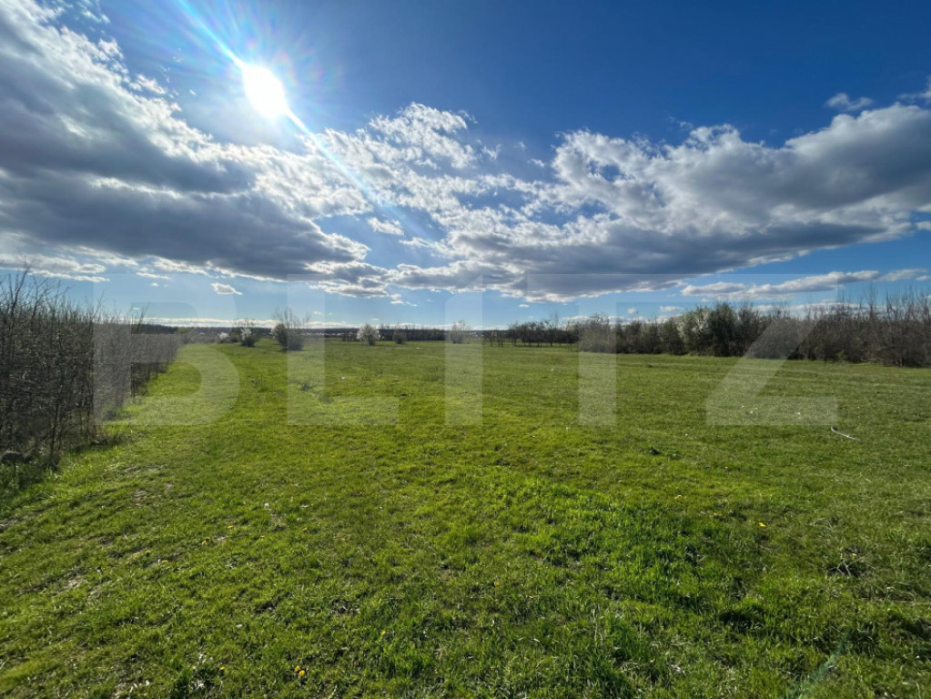 TEREN | RANCACIOV | 2000 MP | 700 INTRAVILAN |