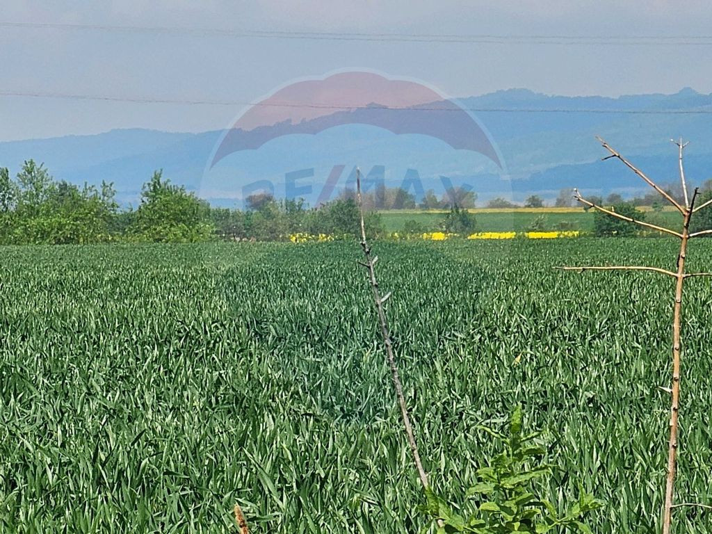 Teren 4 ha pretabil pentru irigații Codlea / DJ 112A