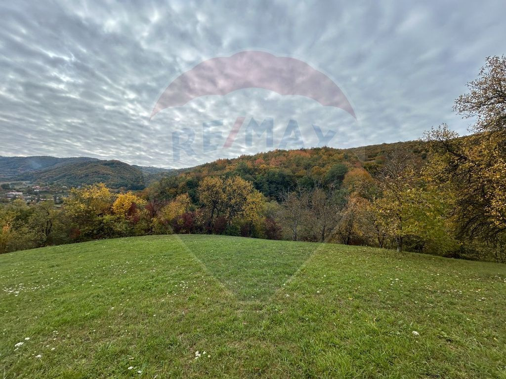 Teren 2,000mp Copalnic-Manastur / Strada Principala