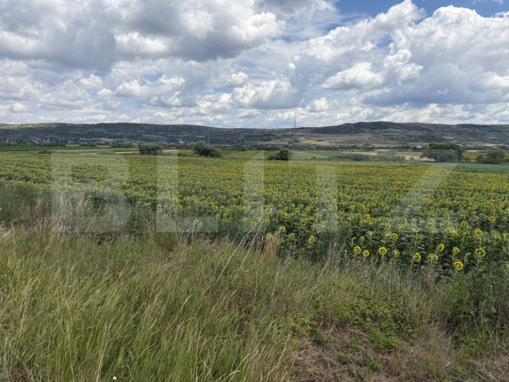 Teren intravilan in localitatea Bobota in suprafata de 11500