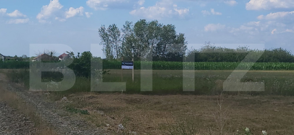 Teren intravilan de vanzare, 660 mp, in Cionchesti