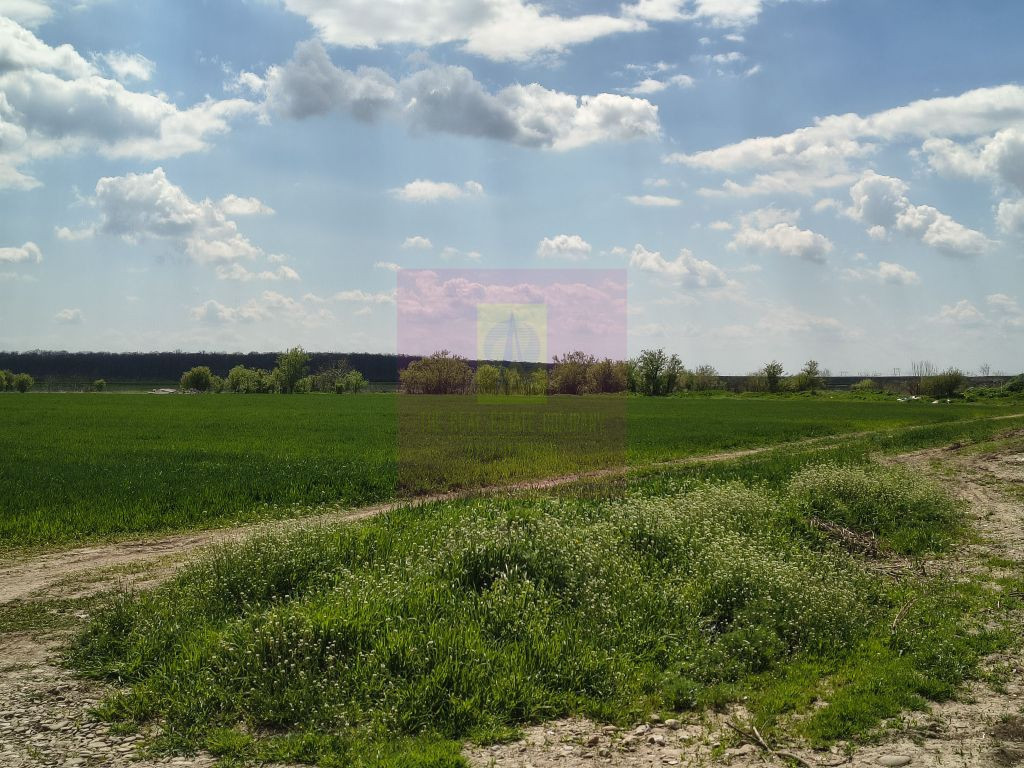 Poșta -Teren 12.450mp pretabil hală/rezidențial la 150...