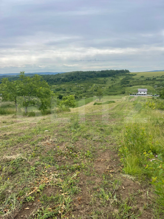 Teren 500 mp intravilan Valea Ursului-