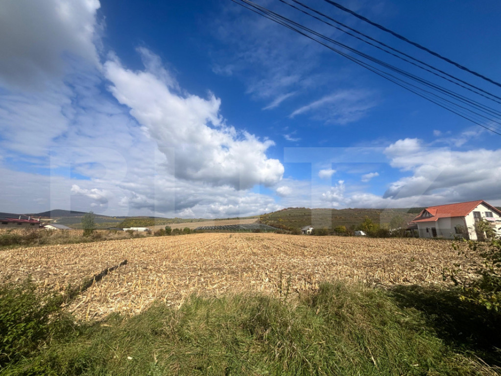Teren Exclusivist în Jelna – 1500 mp, lângă Crama Jelna