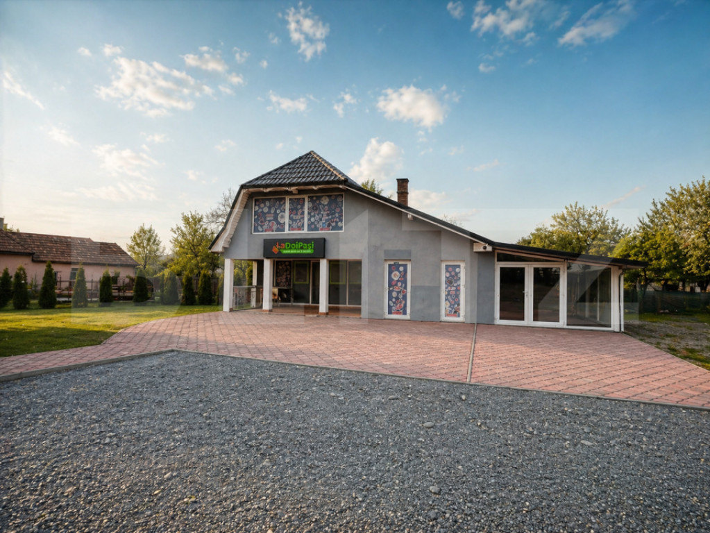 Casa tip spatiu comercial de vanzare Filea, Com. Deda