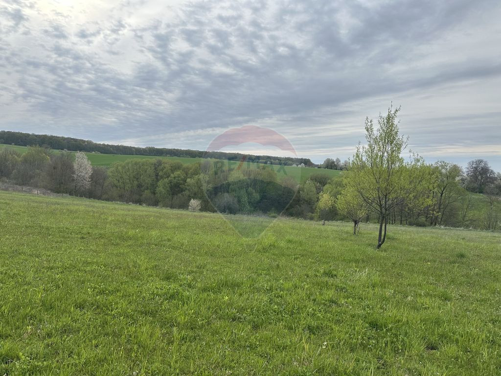Teren 3,000mp Oslobeni / Strada Oslobeni punct GRADINA