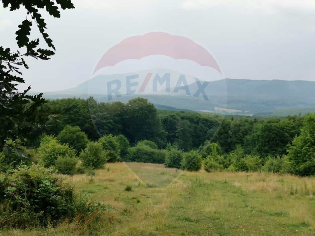 Teren ideal pentru glamping în Vlădeni, aproape de Brașov