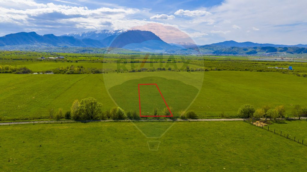 Teren 3000mp de vânzare în Râșnov / Pănicel