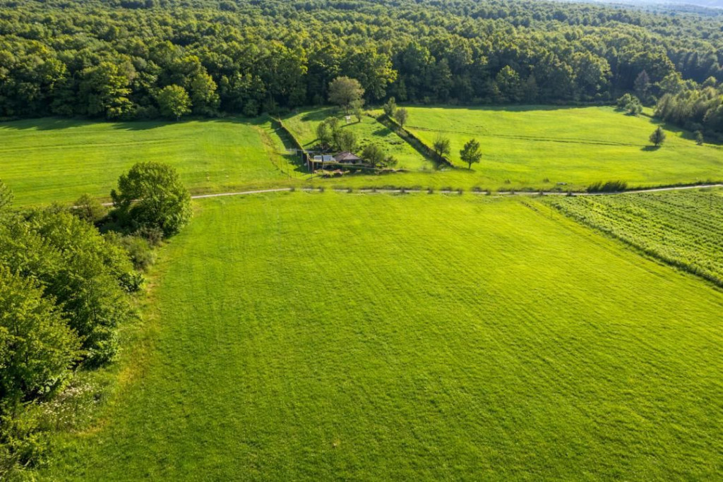 Teren extravilan 600mp Tocile de Jos