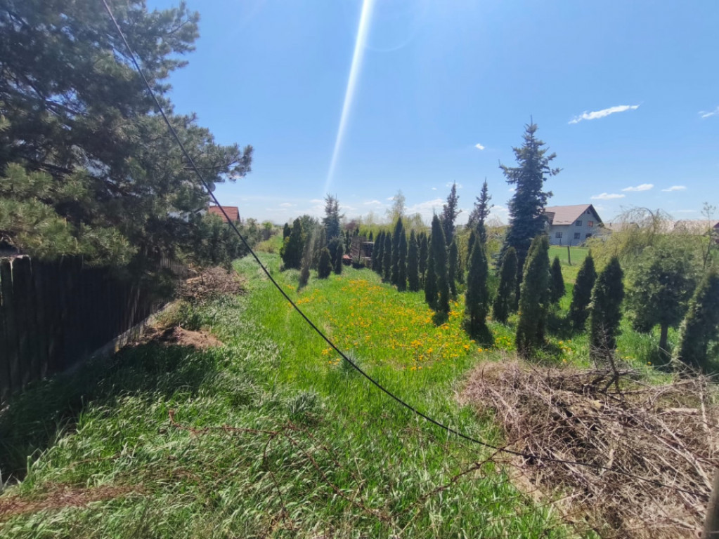 Teren intravilan, 4600mp, zona Francei, Radauti