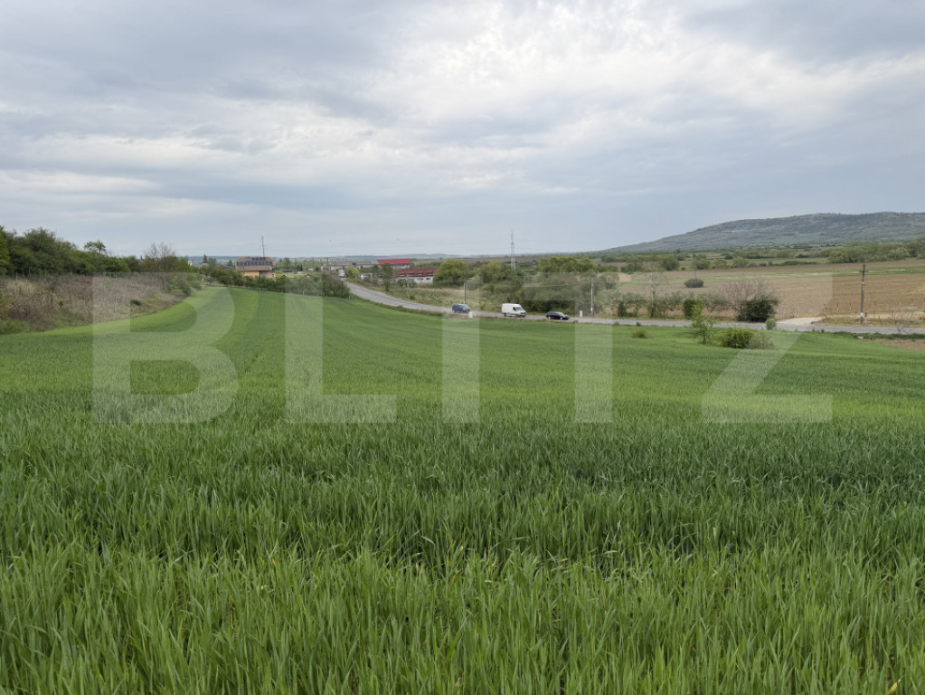 Teren intravilan, in localitatea Bobota in suprafata de 12.5