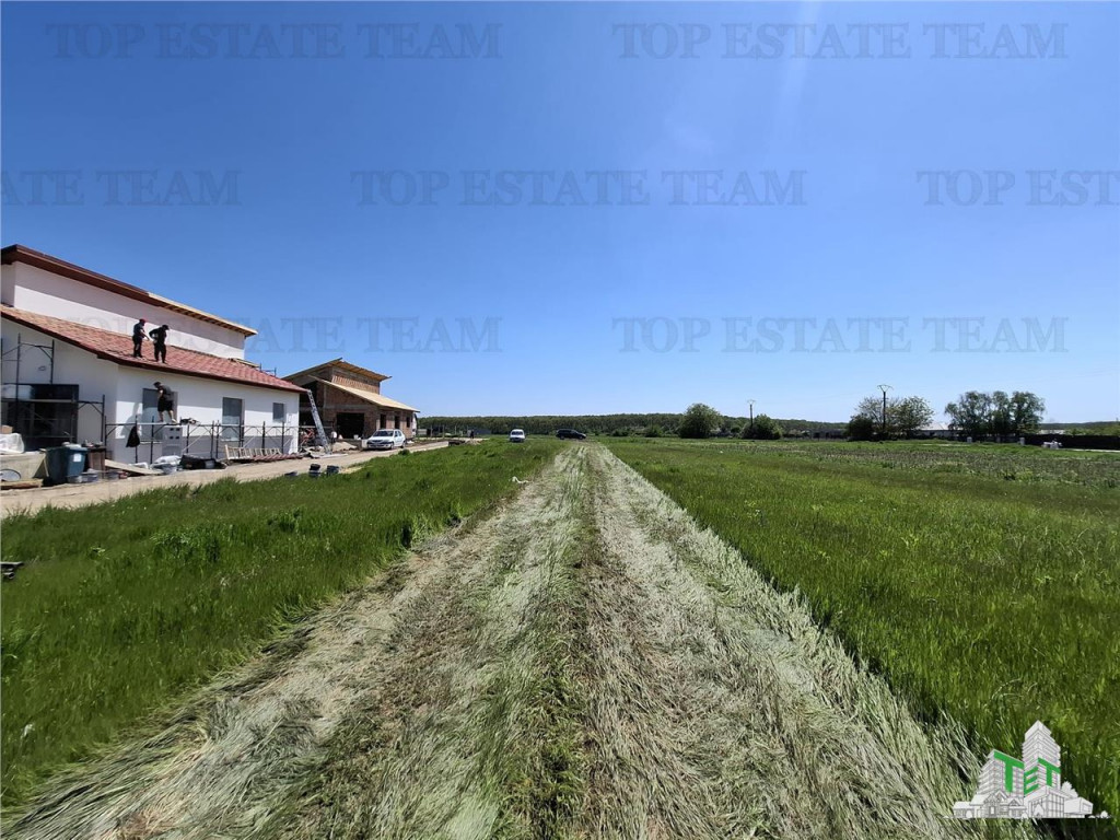 For Sale Case Individuale Snagov-Ghermanesti/In apropierea P